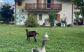 Agriturismo Girasole